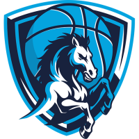 Team Badge