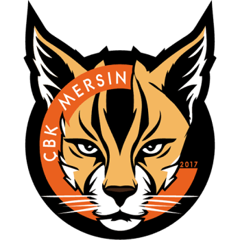 Team Badge