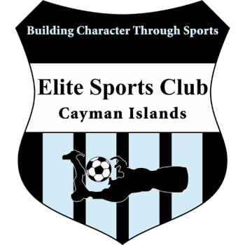 Team Badge