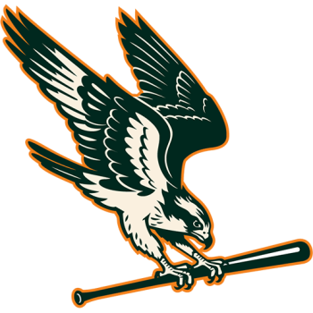 home team badge