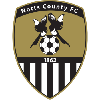 Team Badge