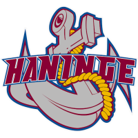 Former team badge icon