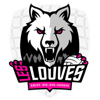 Team Badge
