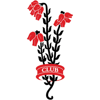 home team badge