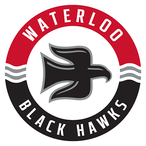 Team Badge icon