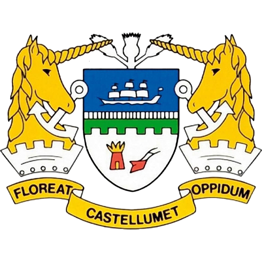 Team Badge icon