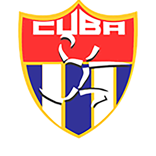 Team Badge icon