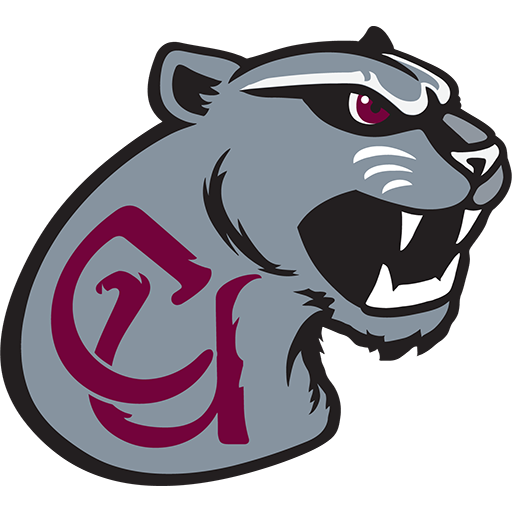 Team Badge icon