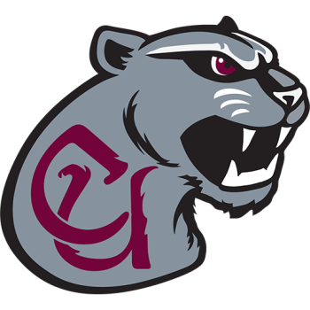 Team Badge