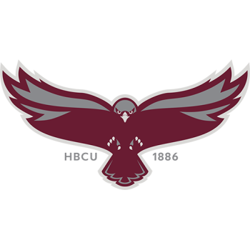 Team Badge