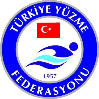 team badge