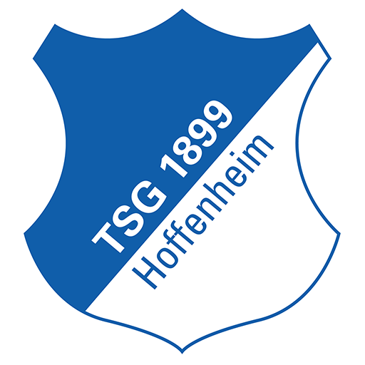 Hoffenheim Logo Image