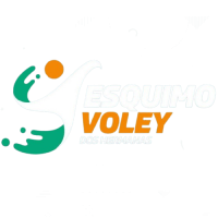 Former team badge icon