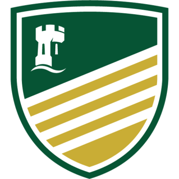 team badge