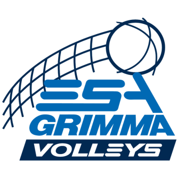 team badge