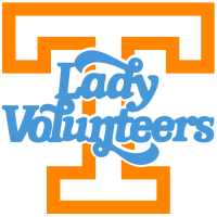 Former team badge icon