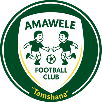 team badge