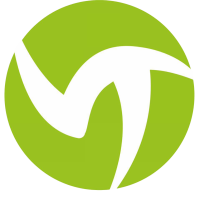 Former team badge icon