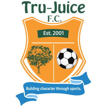 home team badge