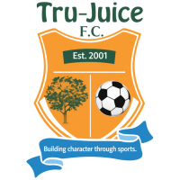 Team Badge