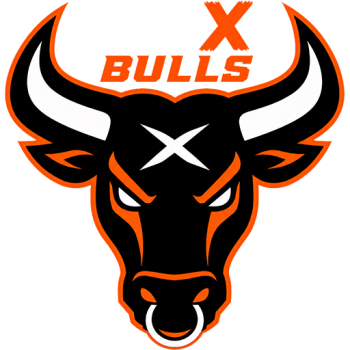 Team Badge