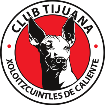 away team icon