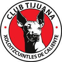 Team Badge