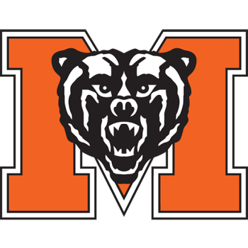 Team Badge