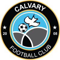 Team Badge