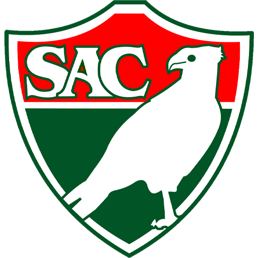 Team Badge icon
