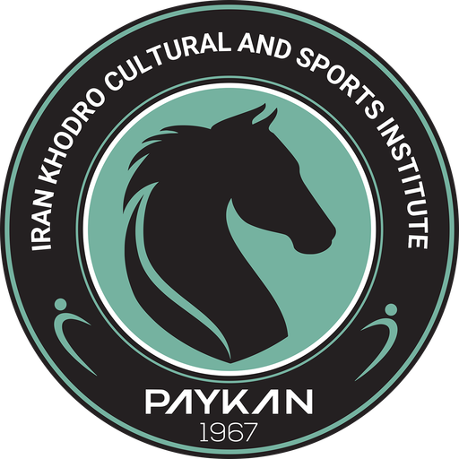 Team Badge icon