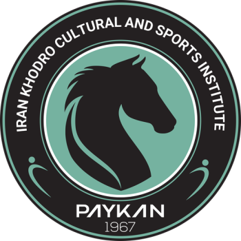 away team icon