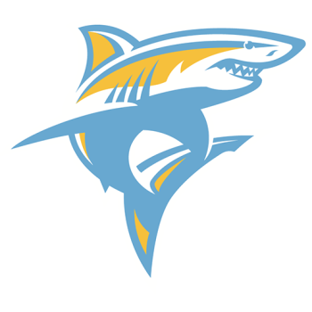 Team Badge