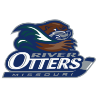 Former team badge icon