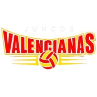 Former team badge icon