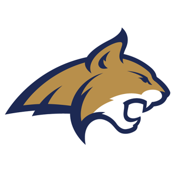 Team Badge