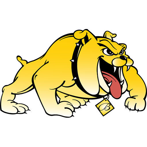 Team Badge icon