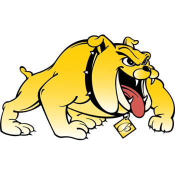Team Badge