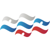 Player team badge icon