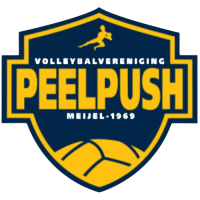 Former team badge icon