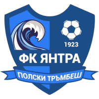 Team Badge