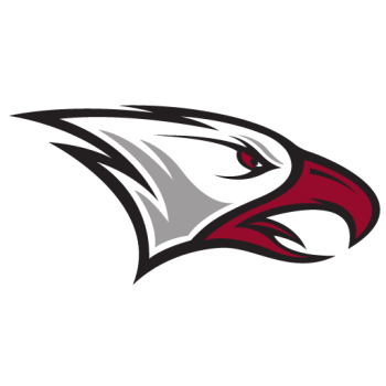 Team Badge