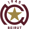 tiny home badge icon