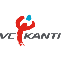 Former team badge icon