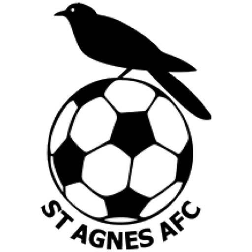 Team Badge icon