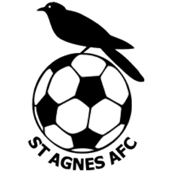 Team Badge