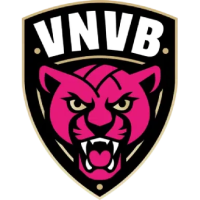 Former team badge icon