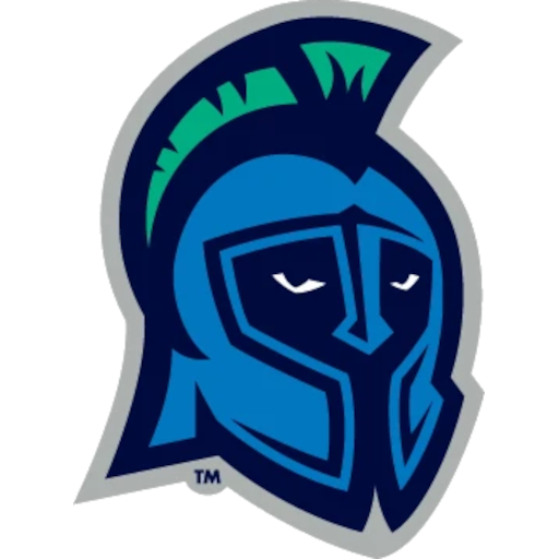 Team Badge icon