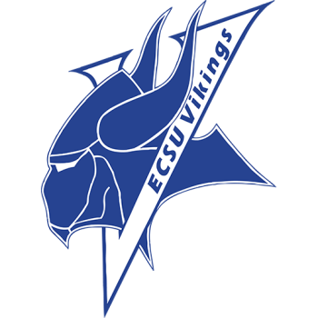 Team Badge