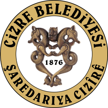 home team badge